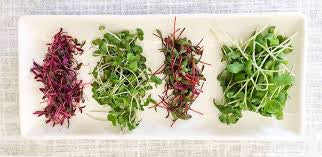 FRESH MICROGREENS