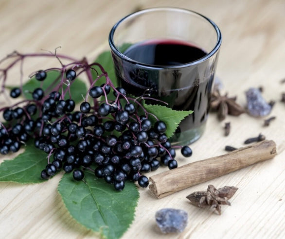 IMMUNITY SYRUPS & TINCTURES