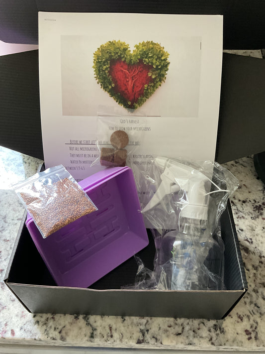 DIY Micro-greens grow kit