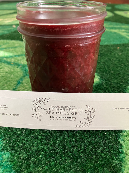 (Wild Harvested) PURPLE SEA MOSS GEL INFUSED WITH ELDERBERRY/HIBISCUS