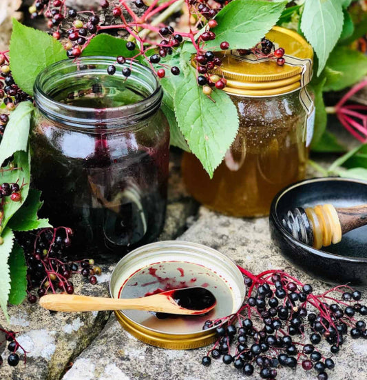 🫐DIY ELDERBERRY SYRUP WORKSHOP