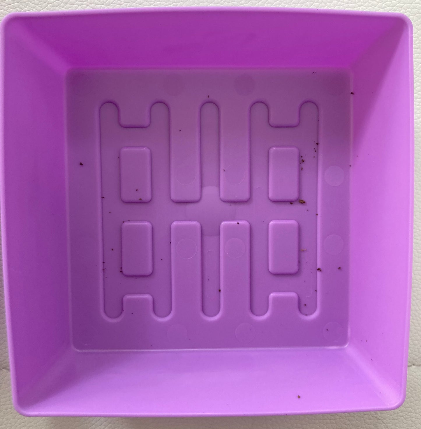 Microgreens tray